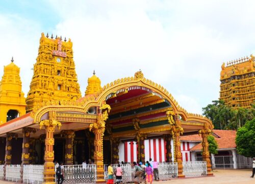 Nallur Kovil Jaffna